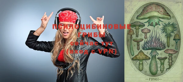 хмурый Волосово