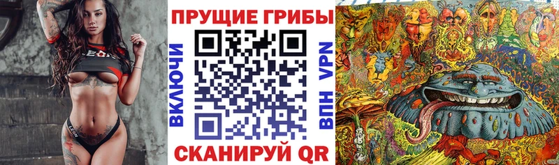 hydra сайт  Салават  Галлюциногенные грибы Cubensis 